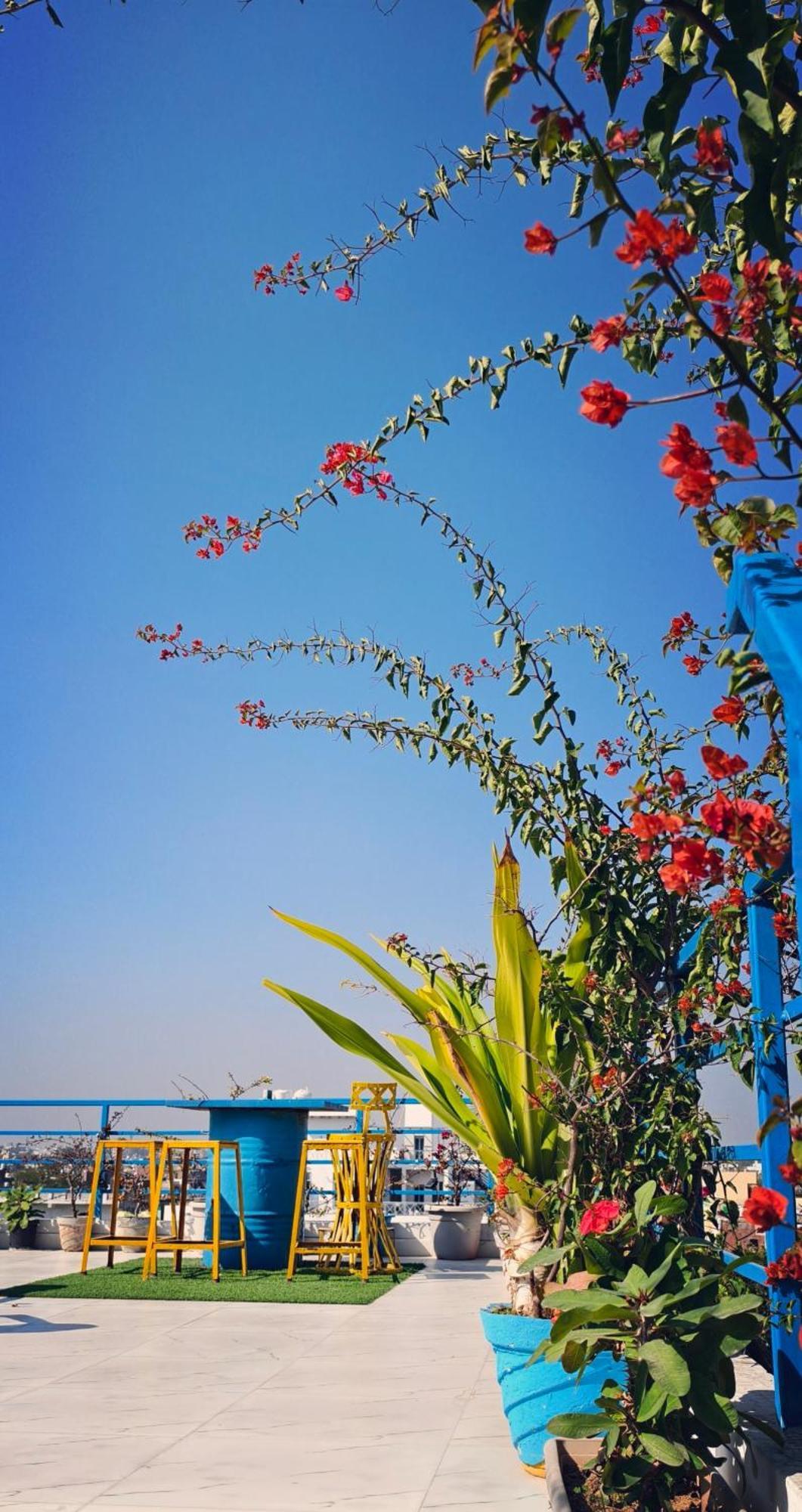The Coral House Homestay By The Taj Agra  Eksteriør bilde